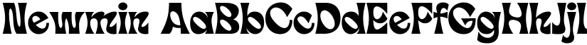Newmin font