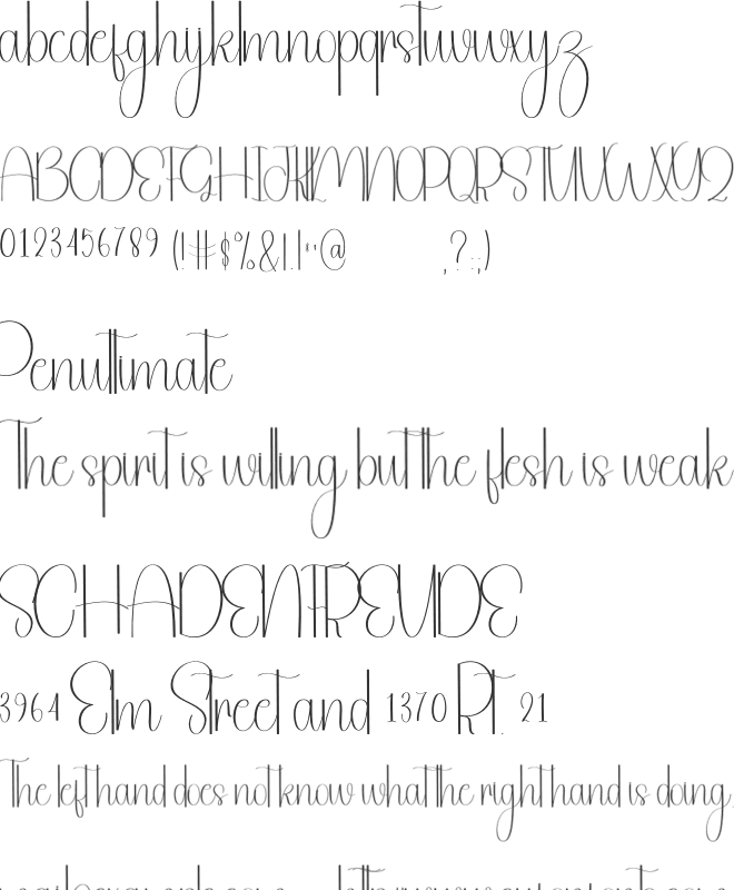 Beautiful Calligraph font preview