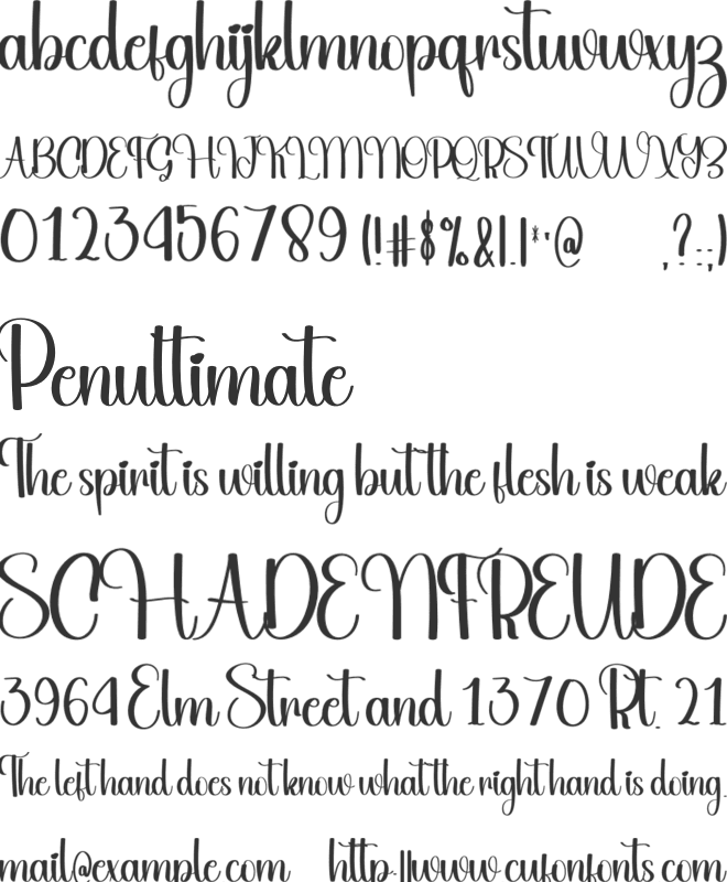 January Signature font preview