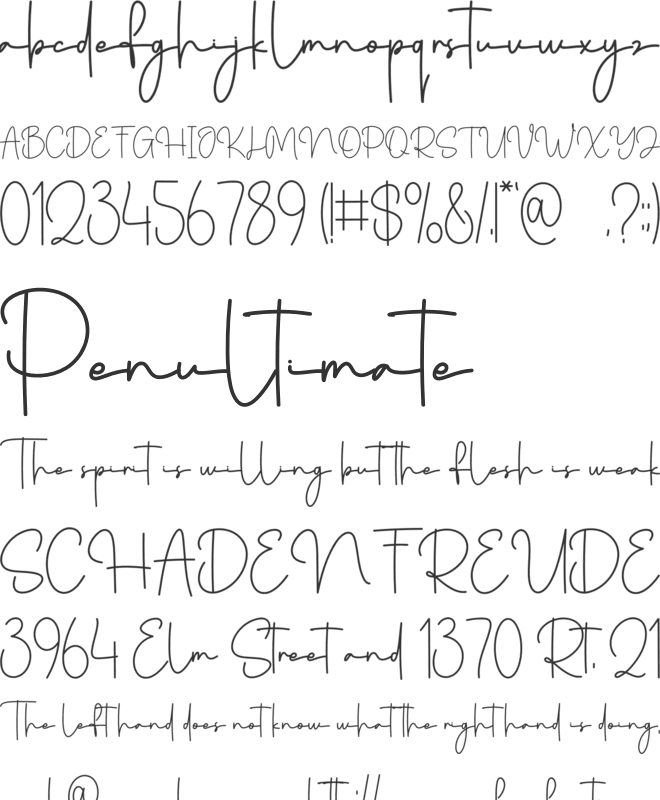 Grandma Signature font preview