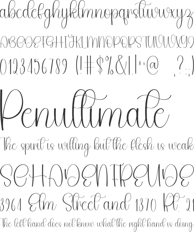 Welcome Signature font preview