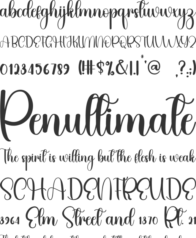 Big Family font preview