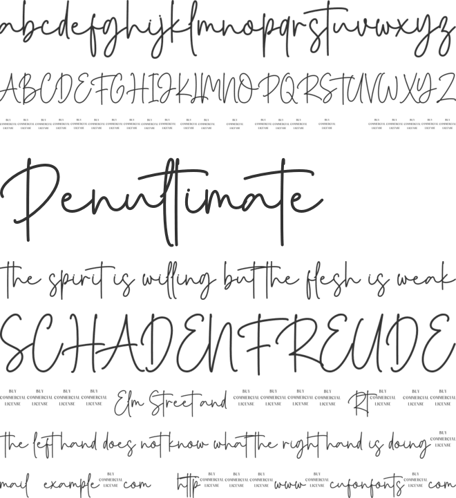 Fridea Script - Personal Use License font preview