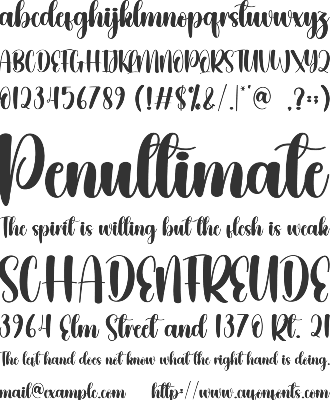 Diligent font preview