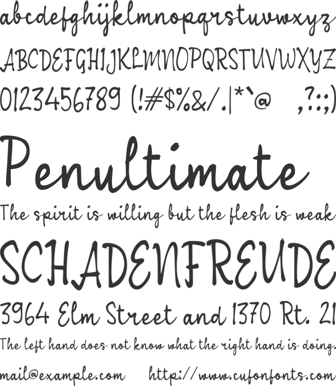 Vasha Script font preview