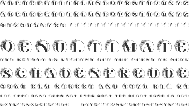 Aventine Floral Line Monogram font preview