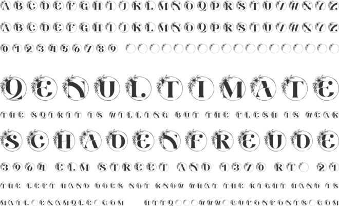 Aventine Floral Monogram font preview