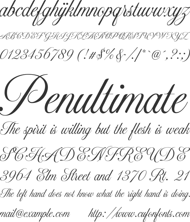 Madison Sauvage font preview