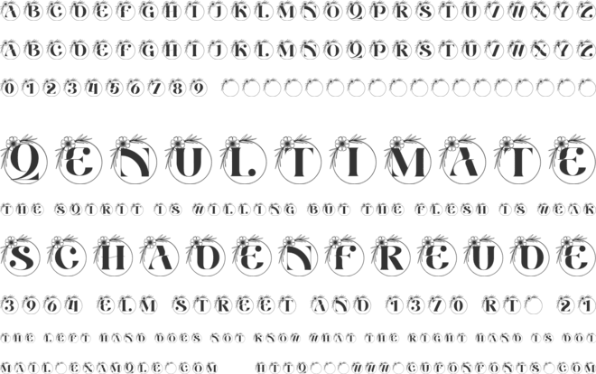 Arabesque Bloom Monogram font preview