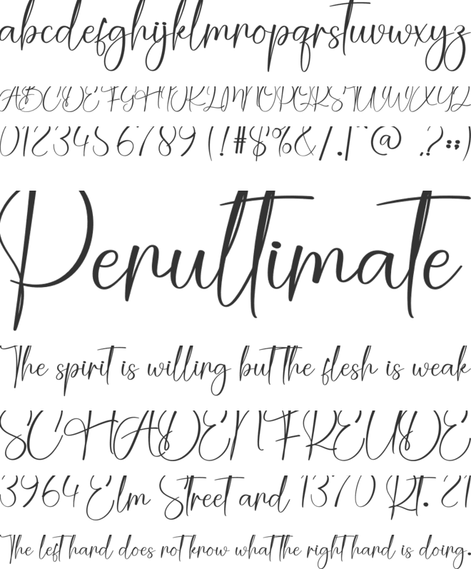 Snowy Farmhouse font preview