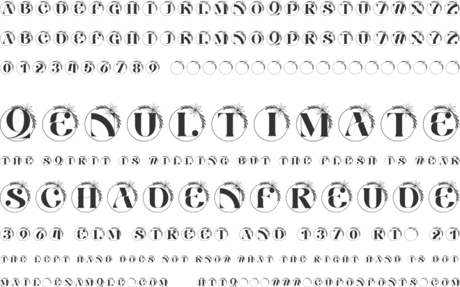 Belle Luxe Monogram font preview