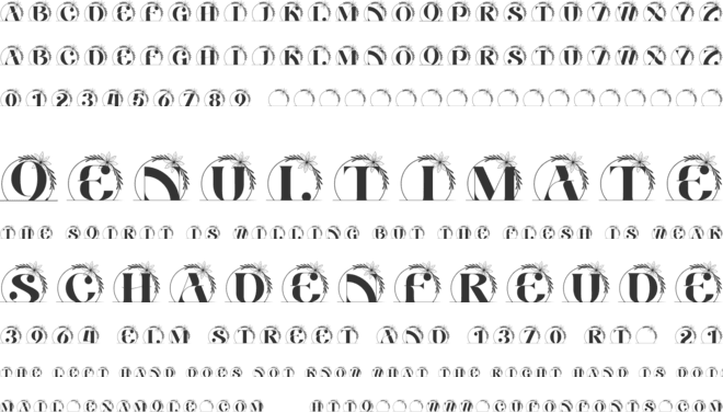 Belle Luxe Line Monogram font preview