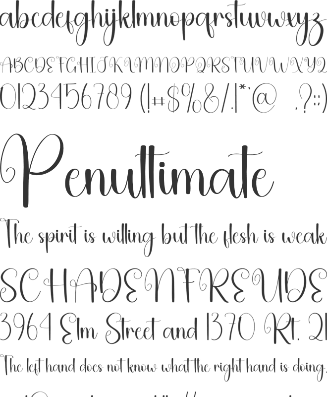 School Signature font preview