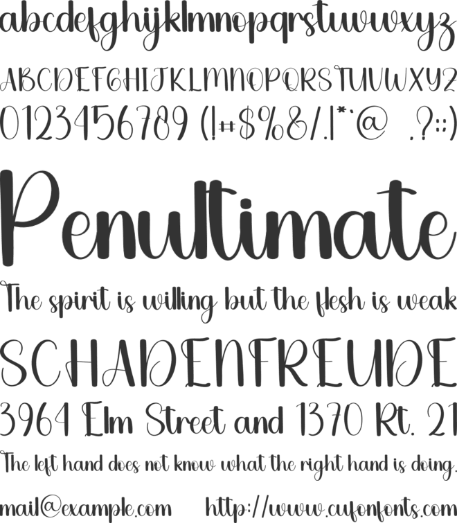 Anythink font preview