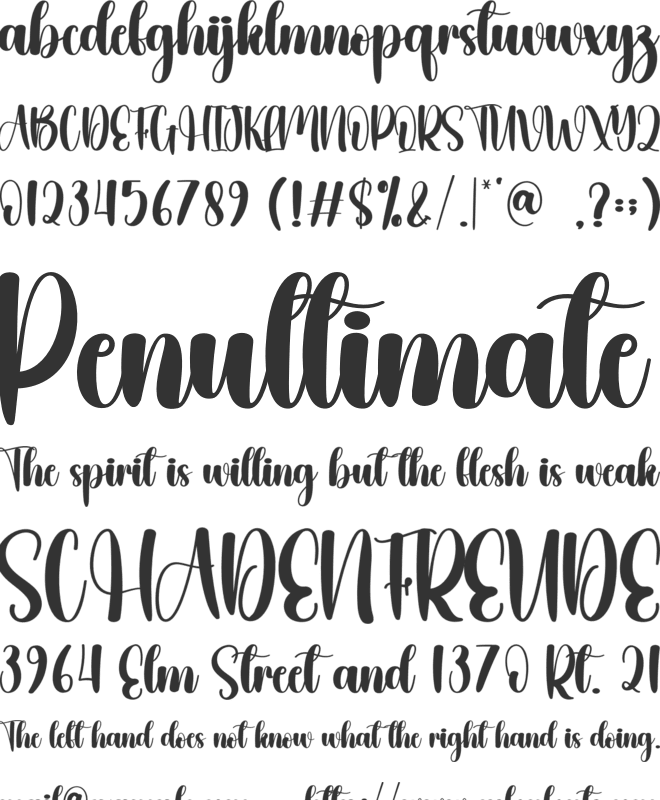 Nativity font preview