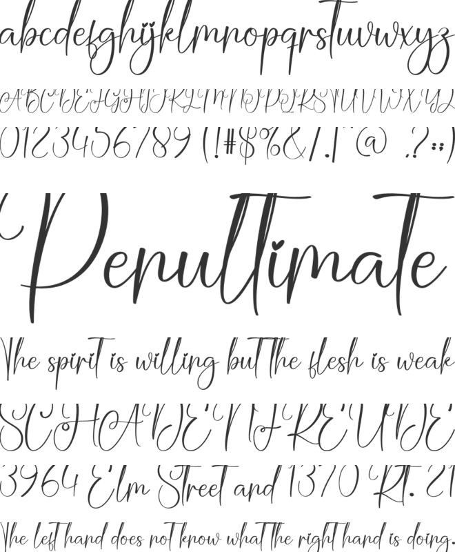 Aromatic Christmas font preview