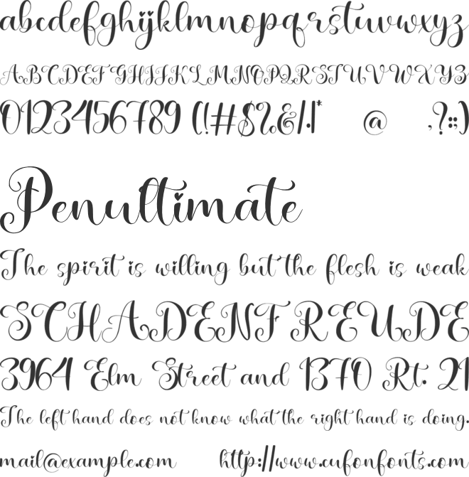 Wedding Party font preview