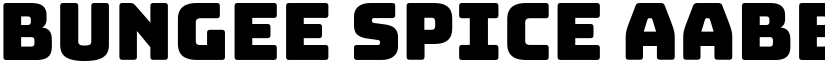 Bungee Spice font
