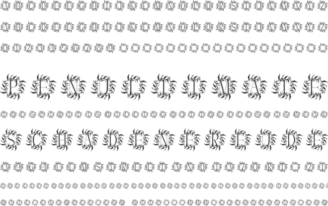 Vine Velvet Monogram font preview