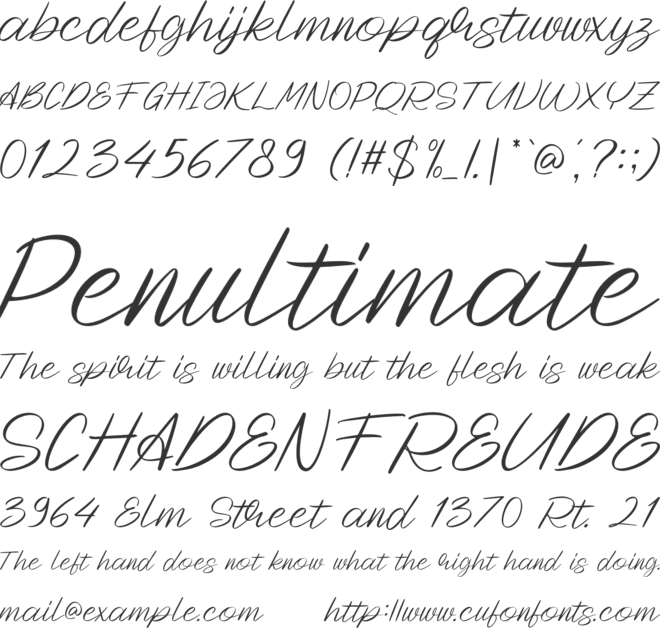 Wedding Maulidah font preview
