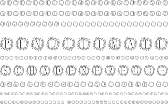 Wild Fern Monogram font preview