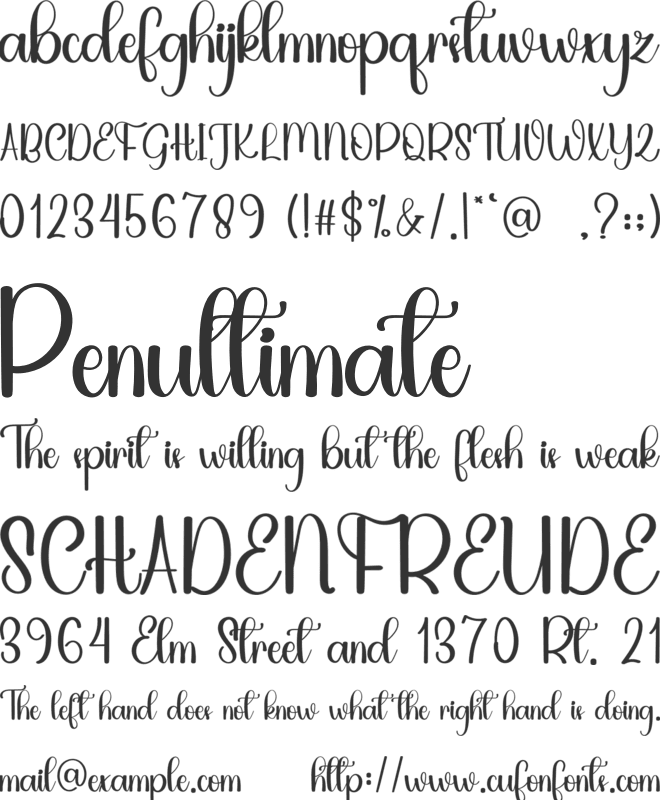 Villager font preview