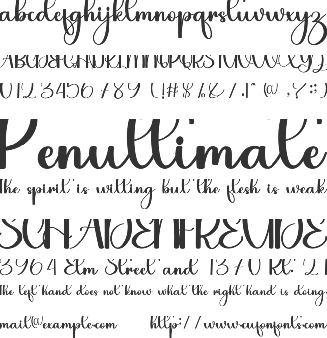 Beach Summer font preview