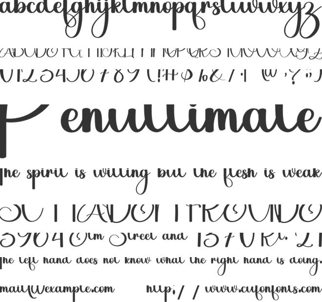 Sweety  Christmas font preview