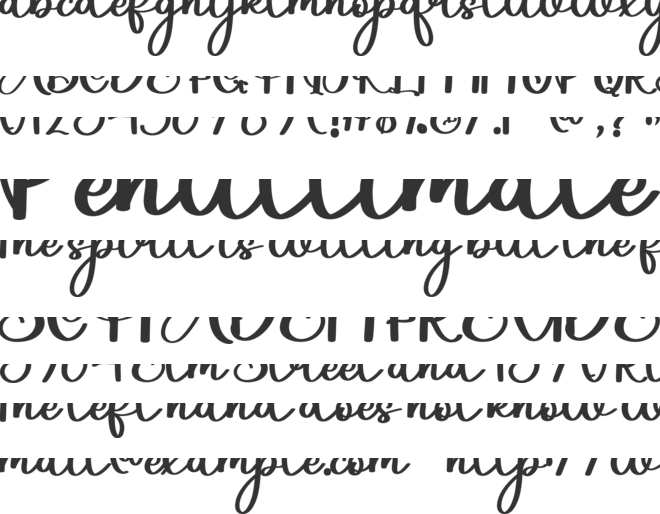 Holiday Signature font preview