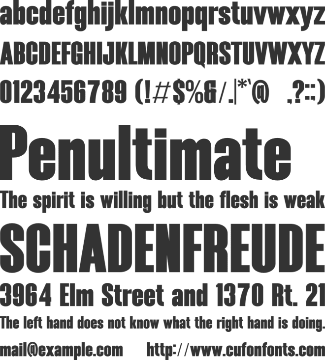 Boldiger font preview