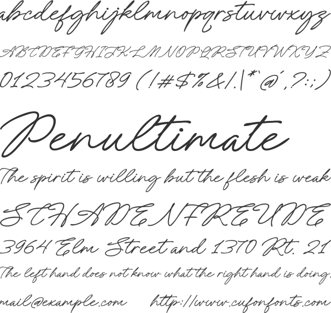 Amely Shine Personal Use font preview