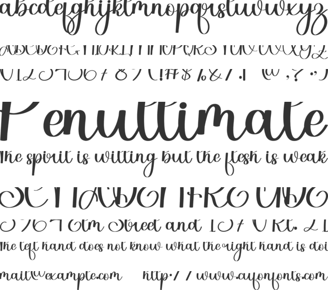 Youngboy font preview