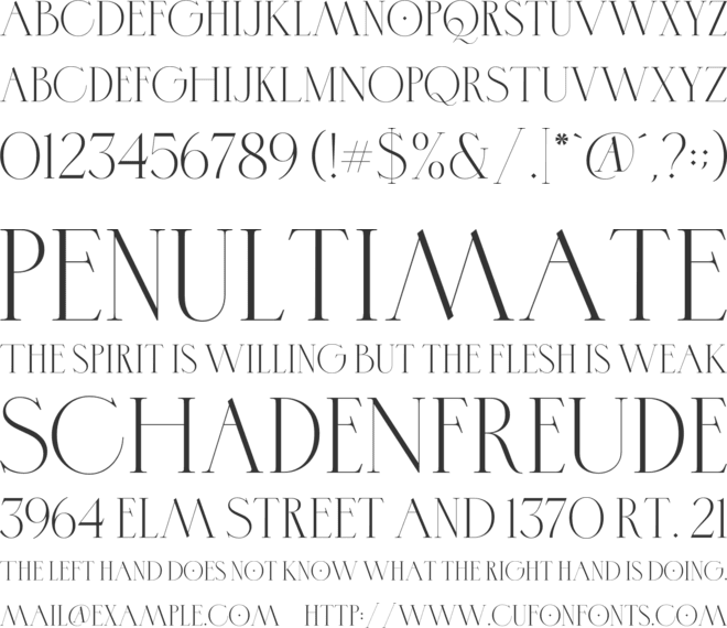 Virgoun Typeface font preview