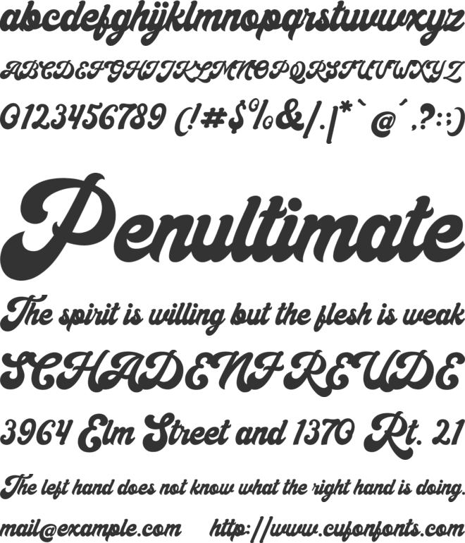 Halycoon Script font preview