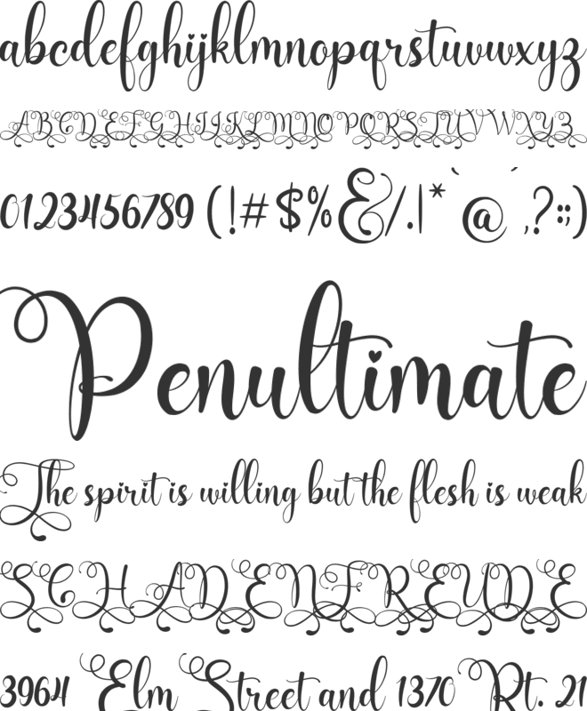 Floristya Script font preview
