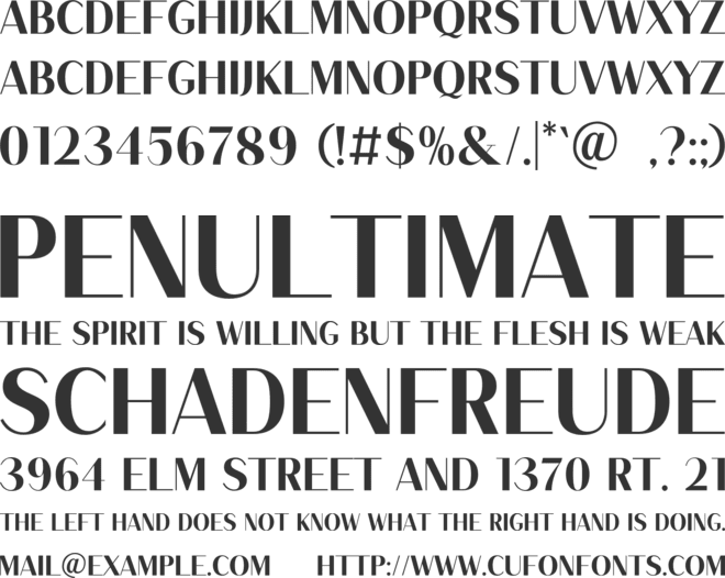 Chamelon font preview