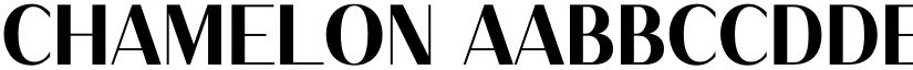 Chamelon font