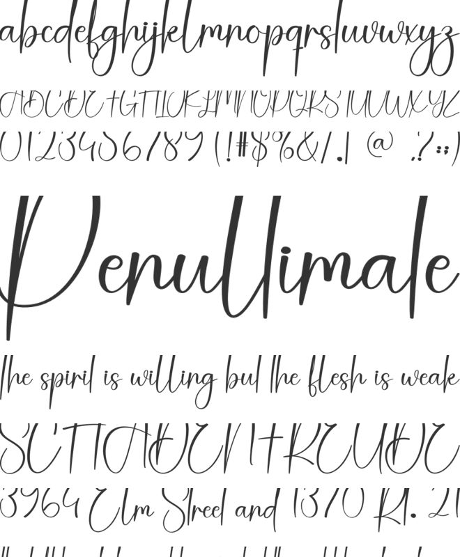 Amsterdam font preview