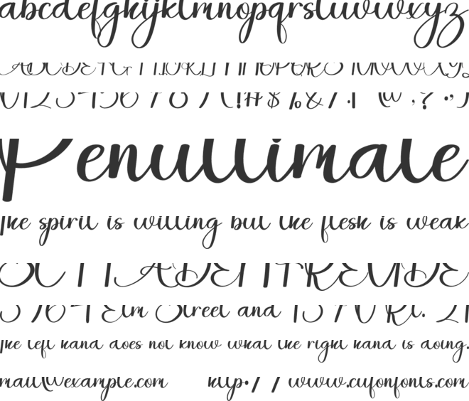 This Bulky font preview