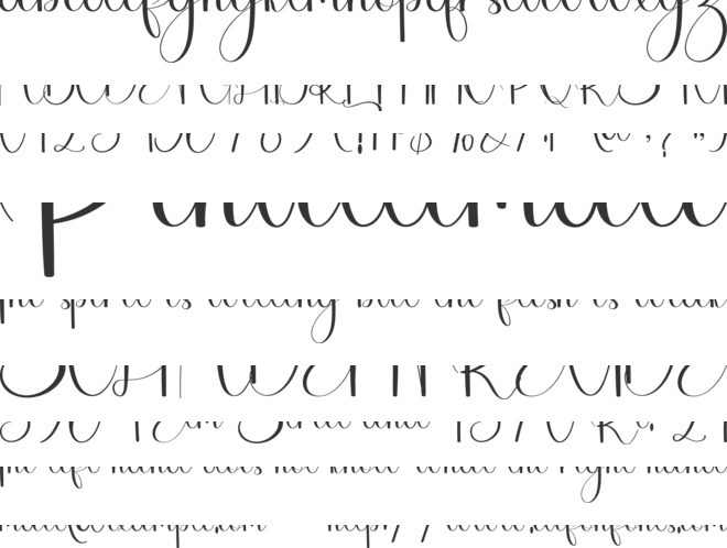 Bigfood font preview