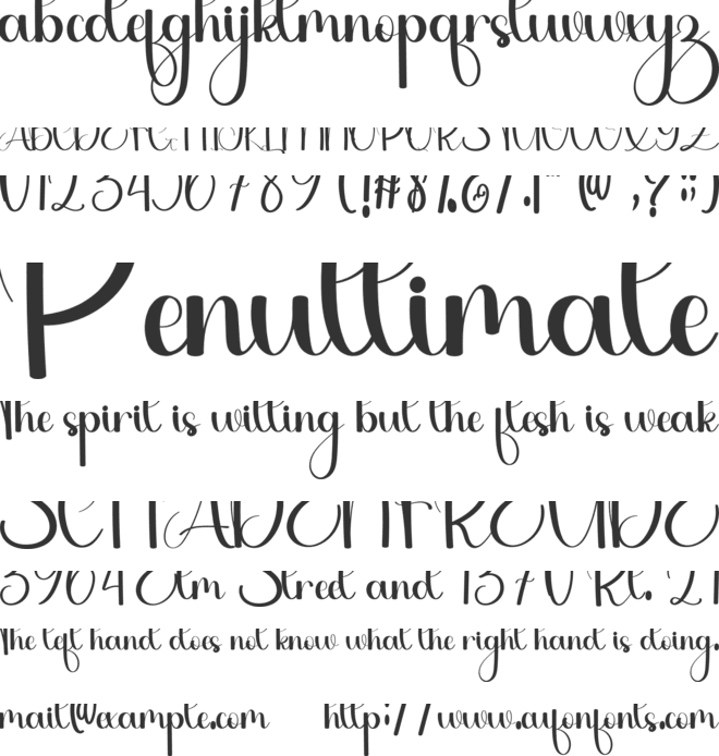 WeddingPhotographer font preview