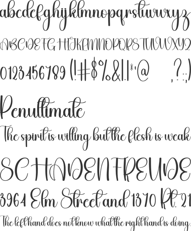 Wonderful Snowing font preview