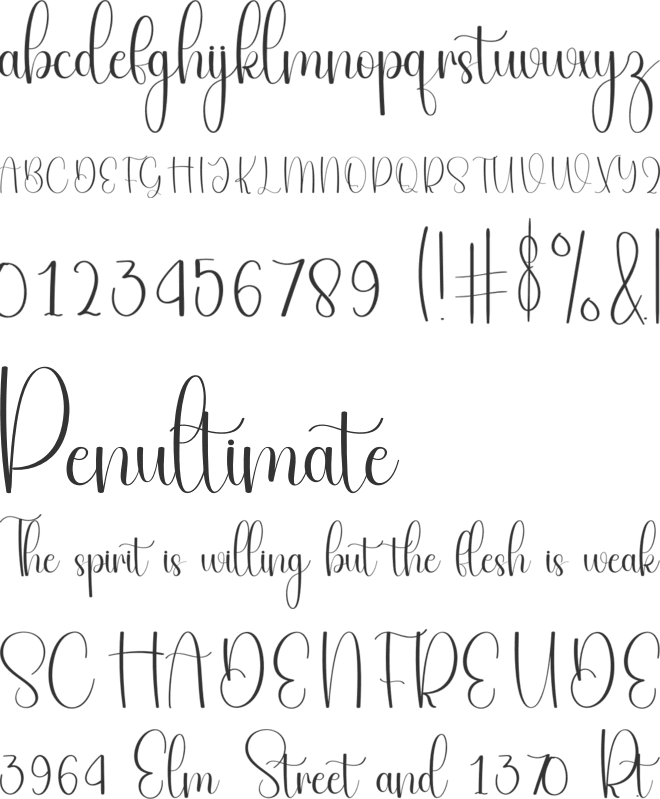 Lantern font preview