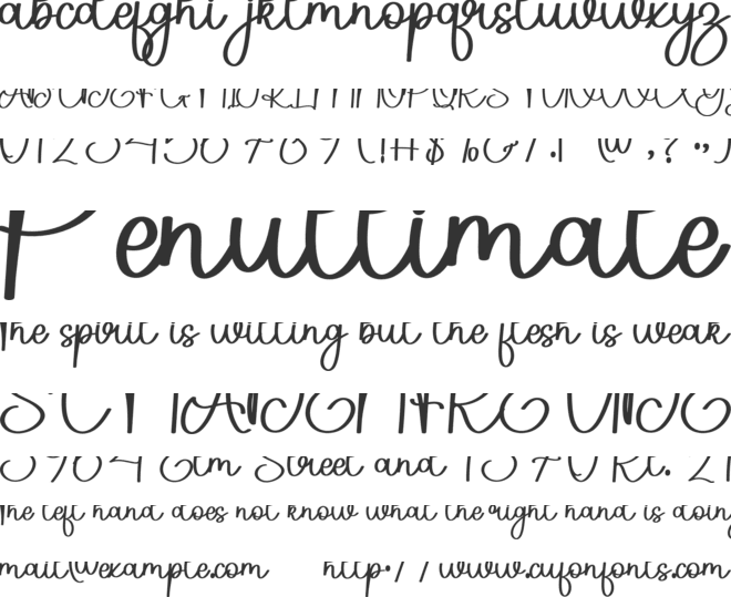 Beautiful Collection font preview
