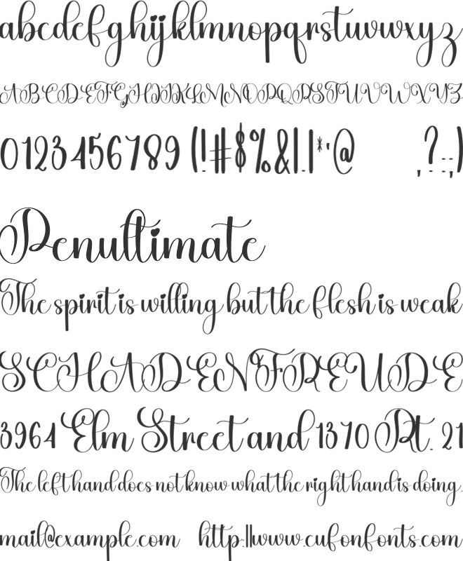 Family Memories font preview