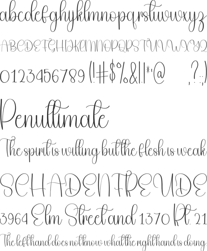 Daisy Vintage font preview