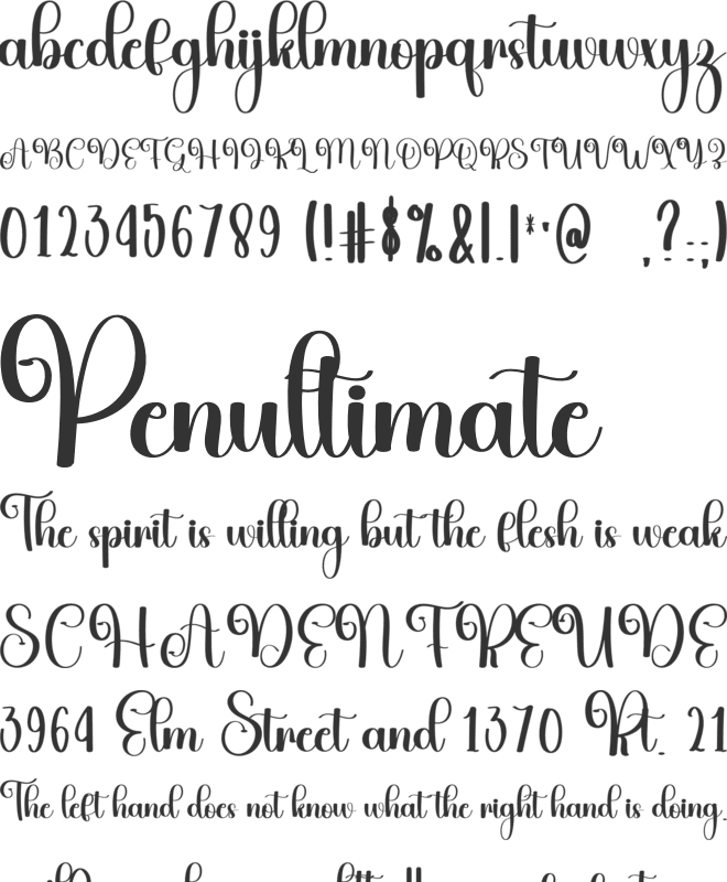 Surprise Vacation font preview