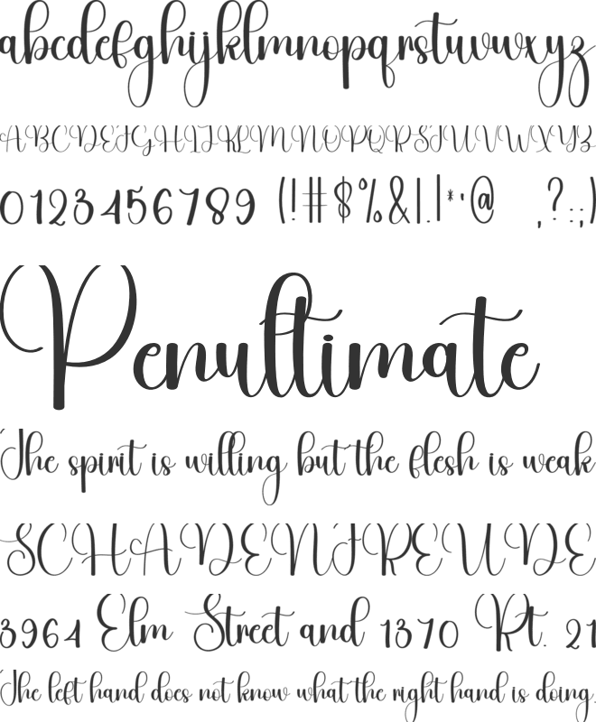 Special Mandala font preview