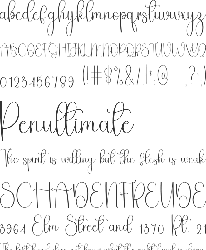 Alphabet Signature font preview