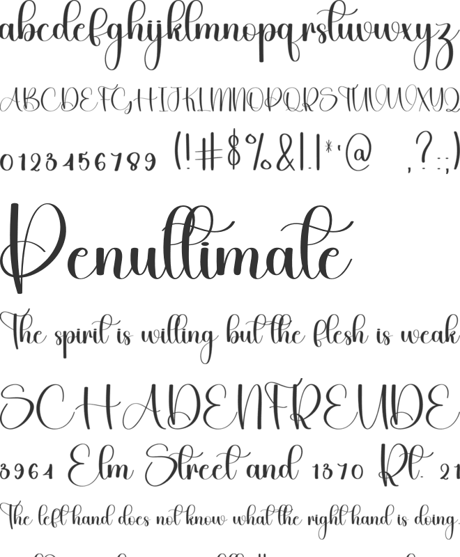 Planner Samantha font preview